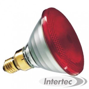 LAMPE CHAUFFANTE ROUGE 150W PHILIPS Lampes chauffantes