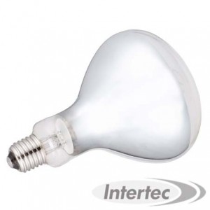 LAMPE CHAUFFANTE BLANCHE 250W INTERHEAT Lampes chauffantes