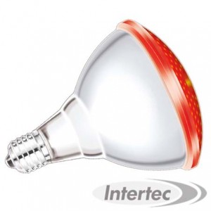 LAMPE CHAUFFANTE ECONOMIQUE ROUGE 175W INTERHEAT Lampes chauffantes