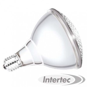 LAMPE CHAUFFANTE ECONOMIQUE BLANCHE 175W INTERHEAT Lampes chauffantes