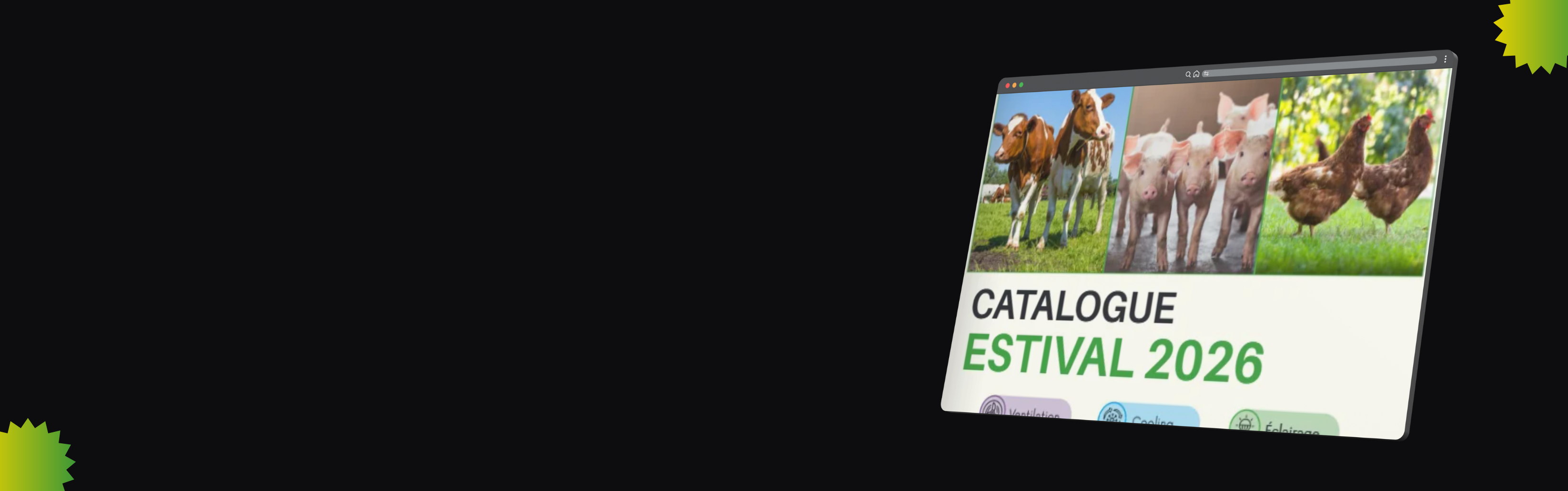Catalogue Estival 2026